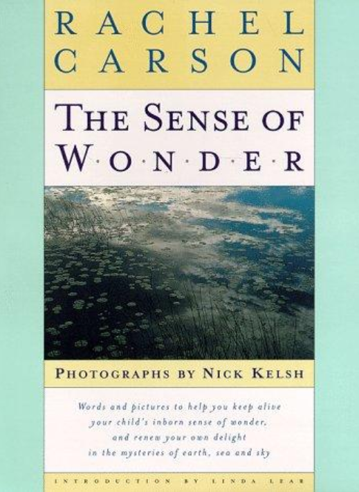 Cover of The Sense of Wonder, a photograph of a pond with the sky reflected in it on a green, beige, and white blocked background containing letters